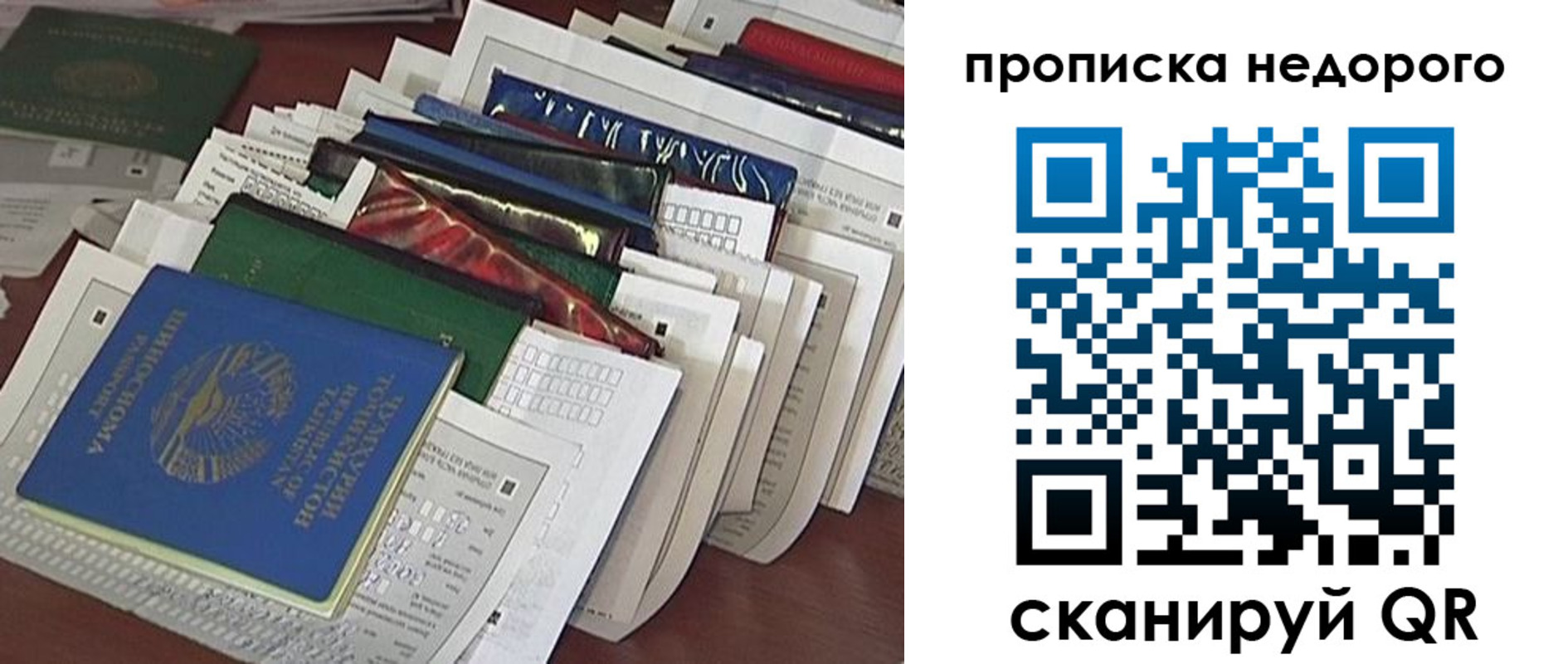 прописка гарантия в Высоковске
